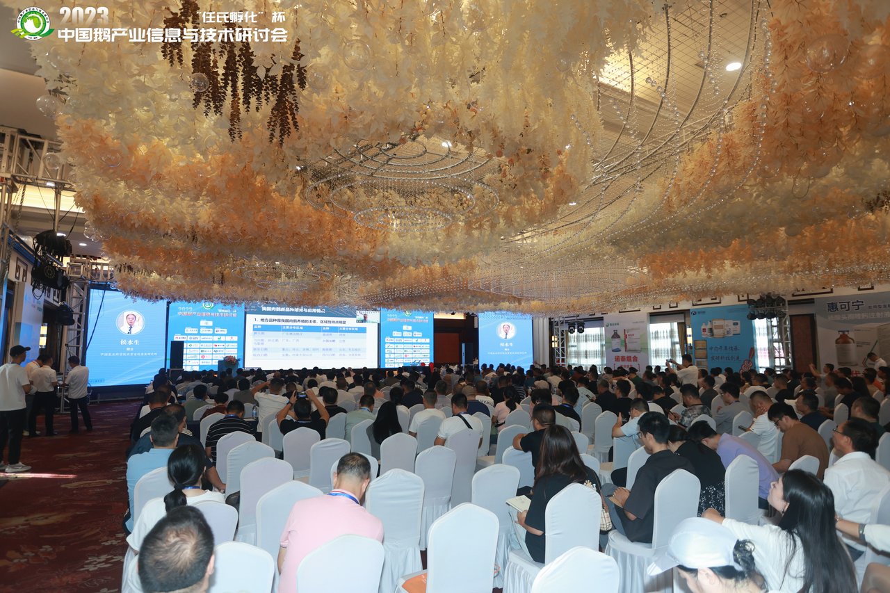 真人做爰片免费观看播放