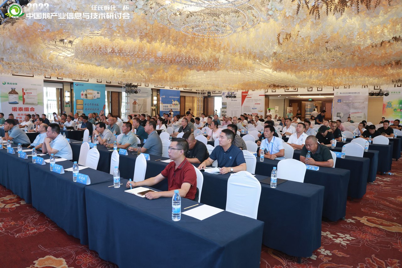 真人做爰片免费观看播放